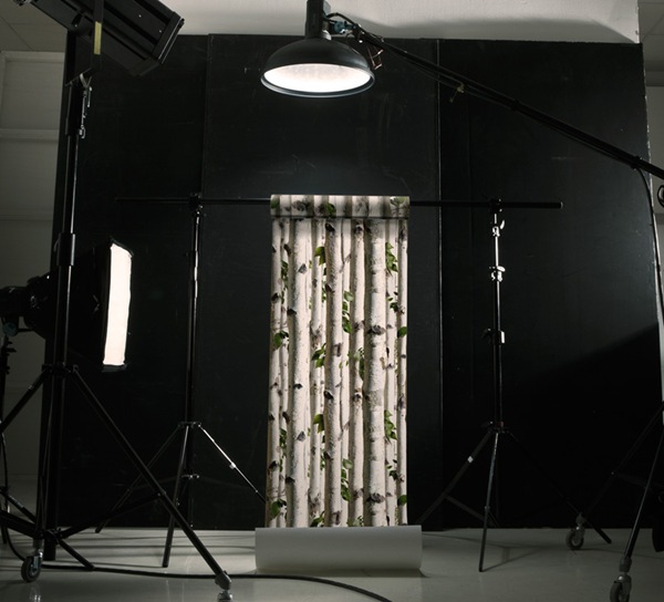 papel pintado troncos arboles