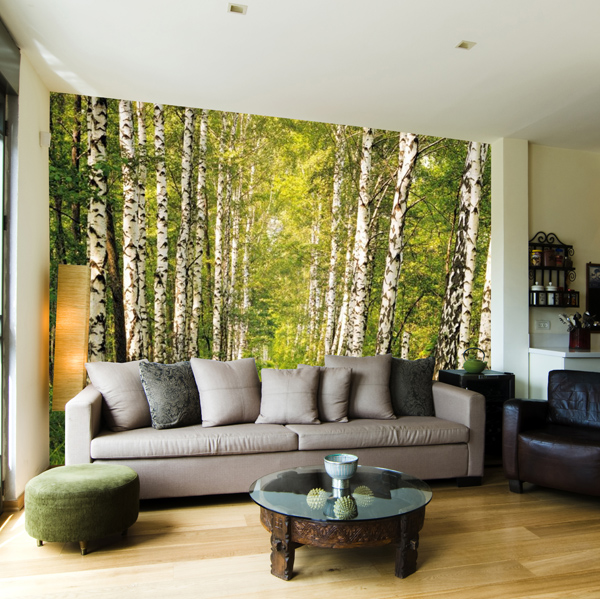 fotomural bosque 8-301
